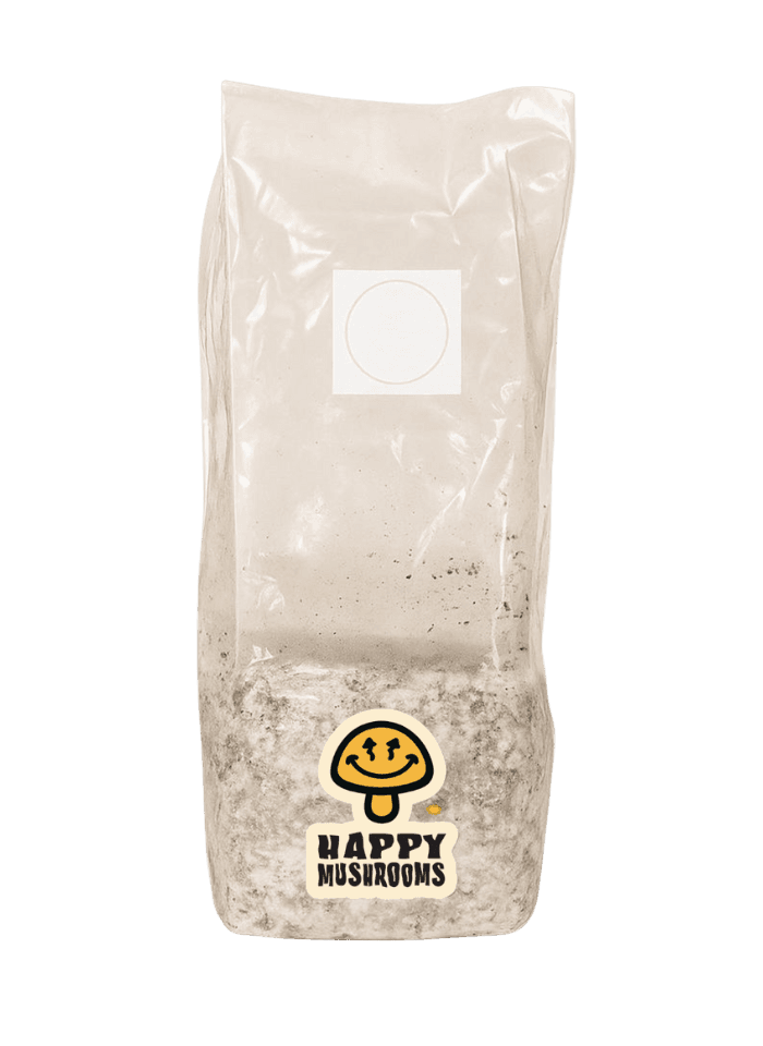 Done-For-You HappyMushroom Colonized Grow Kits